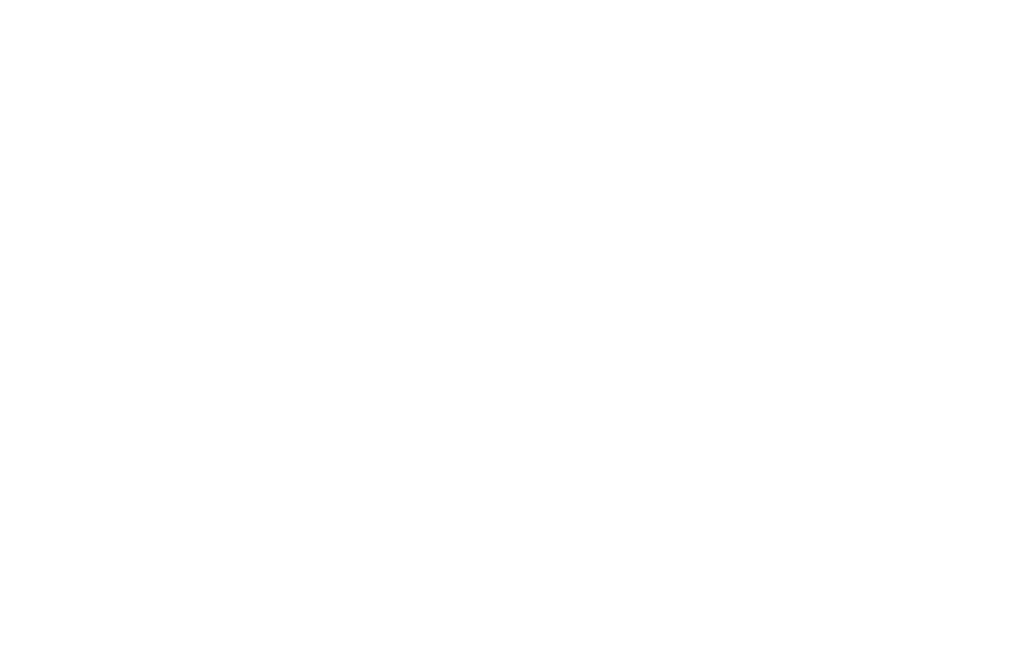 Beyer Blinder Belle