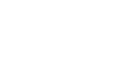 Toro Dev
