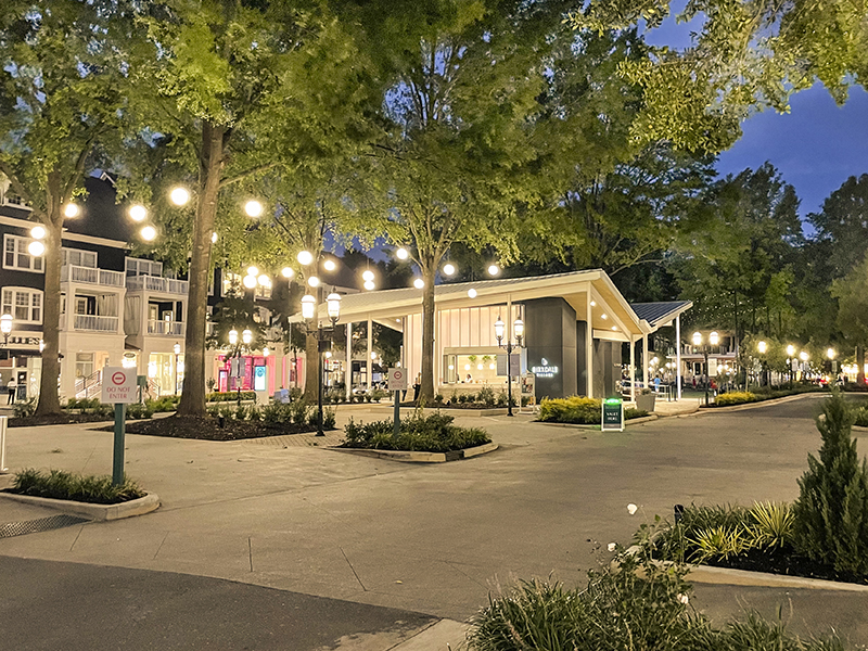 Birkdale Village
